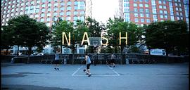 nash 图5