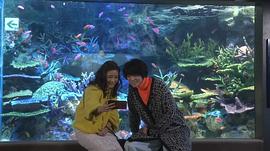 河野悦子百度百科 图5