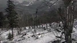 林海雪原1957年版免费观看 图8