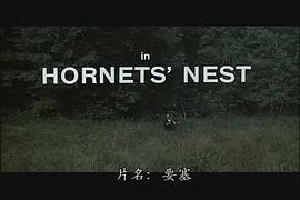 天龍?zhí)毓リ?圖5