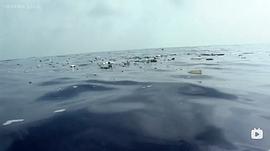 纪录片塑料海洋的主要内容 图7