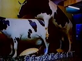 古靈精怪東南亞 圖1