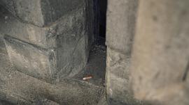燃燒的巴黎圣母院 圖1