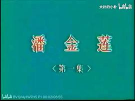 潘金蓮新傳 圖1