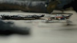 墮落 第二季 圖9