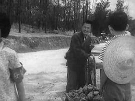 向陽(yáng)院的故事 圖7