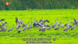 鸟瞰德国 图9