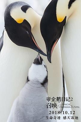 企鹅日记电影 图5