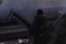 柳樹之歌 圖5