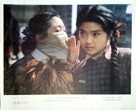 青春萬(wàn)歲 圖5