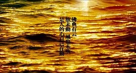 东邪西毒 图4