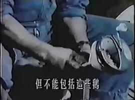 世界殘酷寫真 圖3