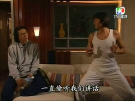 2001年香港电视剧大全 图6