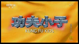 功夫小子 圖7