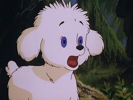 辛巴獅子王 圖1