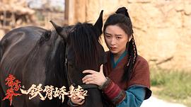 霍家拳之鐵臂嬌娃2 圖5