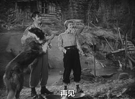 野性的呼唤 图6