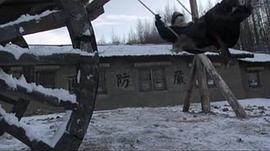 林海雪原 圖10