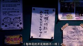 咖啡色的小熊叫什么 圖4