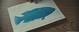 蒂姆·温顿的蓝背鱼 图1