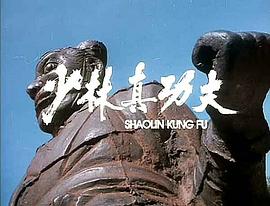 少林真功夫 圖2