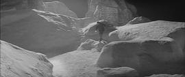 喜馬拉雅山雪怪 圖5