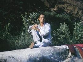 少林醉八拳 圖6