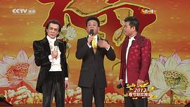 2015中央电视台春节晚会 图10