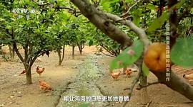 安家十二味電視劇 圖3