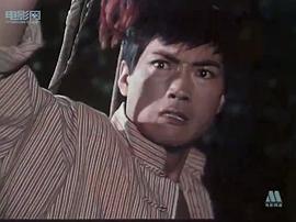 紅牡丹 圖3