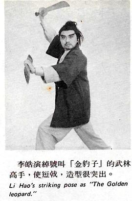 風(fēng)雷魔鏡九玄魔女 圖6