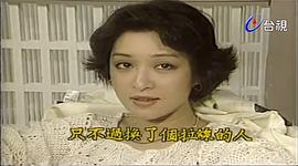 風(fēng)箏 圖6