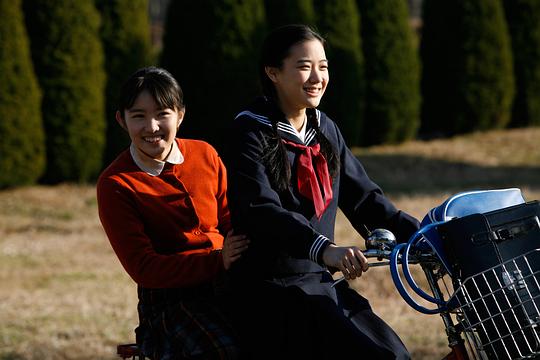 扶桑花女孩评价