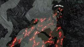 火影忍者疾风传从第几集开始 图8