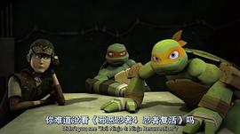 忍者神龟 第五季 图1