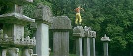 少林寺传奇电影免费观看高清 图8