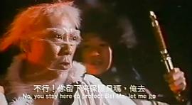新十二生肖 圖3