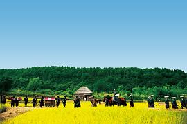 參勤交代三部曲 圖8