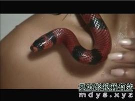 狂蟒之災(zāi)4之國(guó)語(yǔ)版在線觀看 圖3