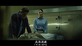 搏擊之王 圖1