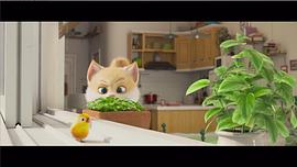 猫的花园动画片 图7