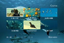海洋世界纪录片国语版高清 图8