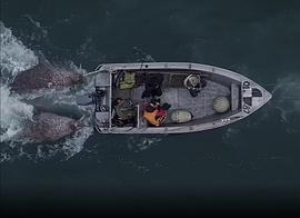 深海电影捕鲸的电影 图7