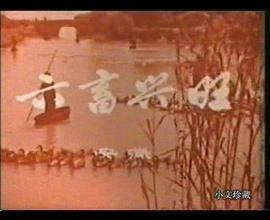 喜看農(nóng)業(yè)大豐收 圖10