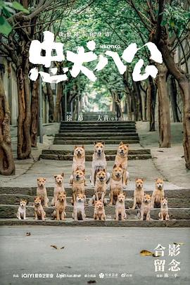 电影八公犬 图3