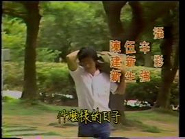 守著陽光守著你34集高清在線觀看 圖8