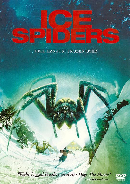 巨型蜘蛛电影完整版免费观看