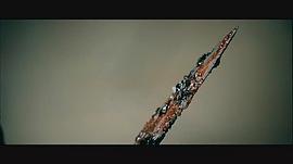 七天 圖8
