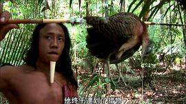亞馬遜的眼淚 圖3