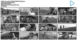 卡因的后裔 圖2